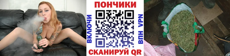 Купить закладки Мариинский Посад Бошки марихуана тримм